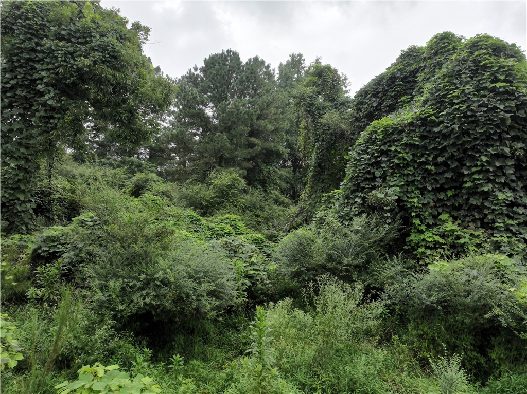 135 Herring Road