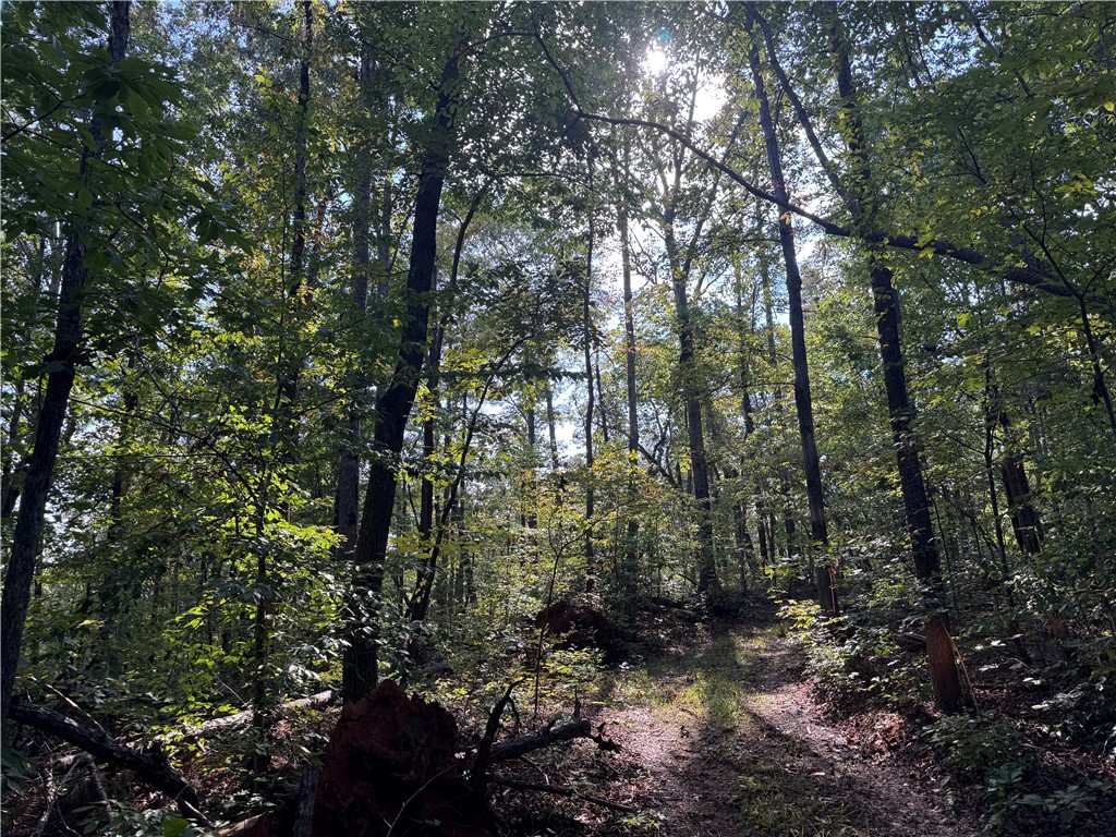 1282 Cobb Bridge Road