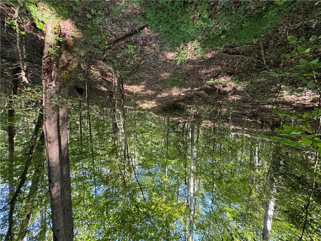 1282 Cobb Bridge Road