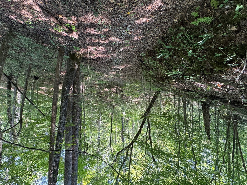 1282 Cobb Bridge Road