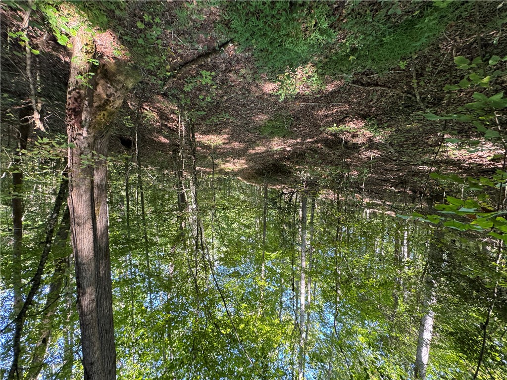 1282 Cobb Bridge Road