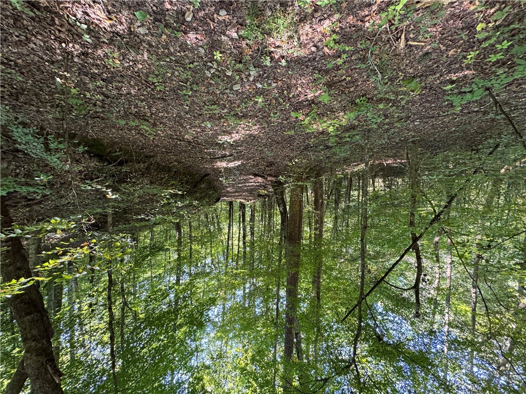 1282 Cobb Bridge Road