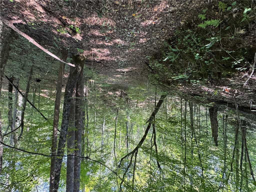 1282 Cobb Bridge Road