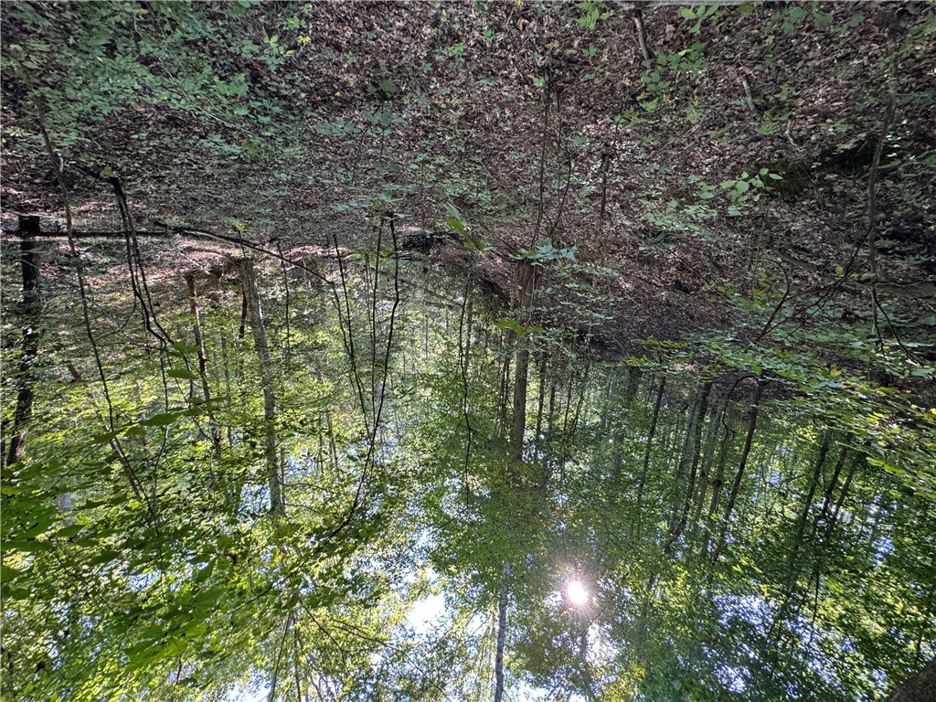 1282 Cobb Bridge Road