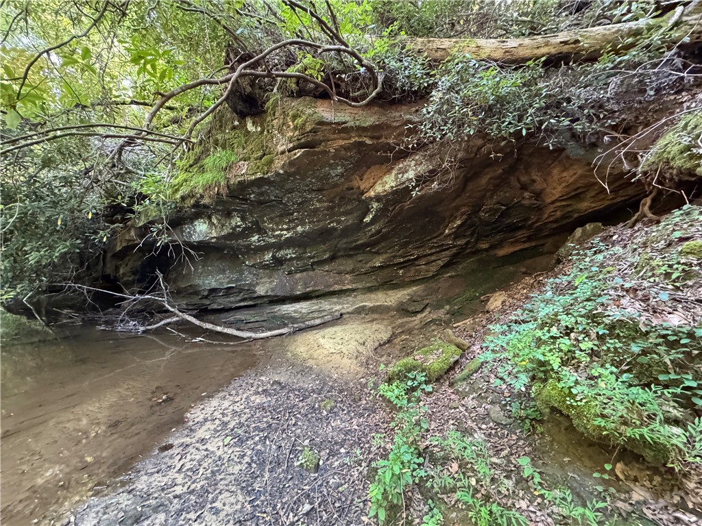 1282 Cobb Bridge Road