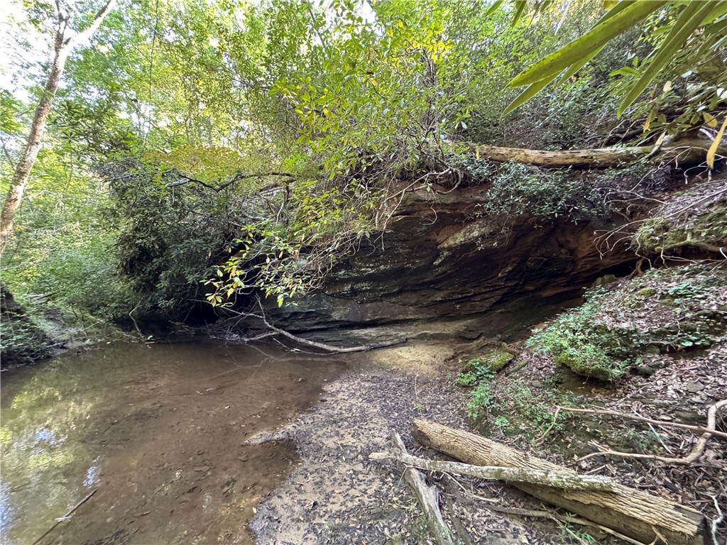 1282 Cobb Bridge Road