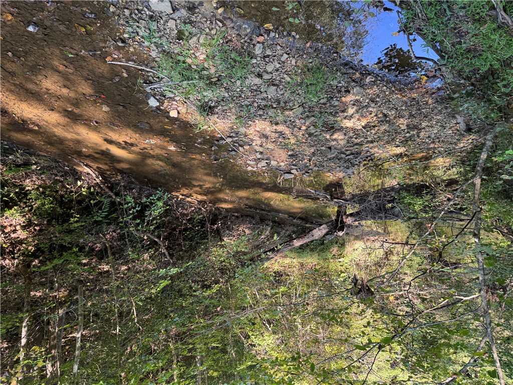 1282 Cobb Bridge Road