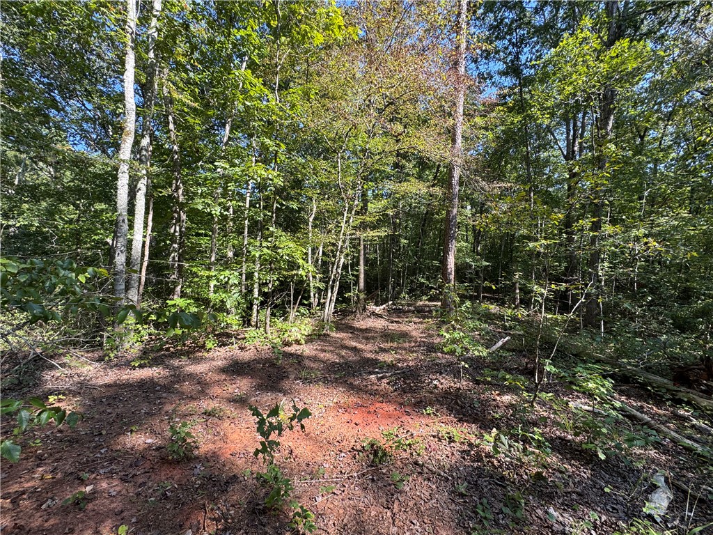 1282 Cobb Bridge Road