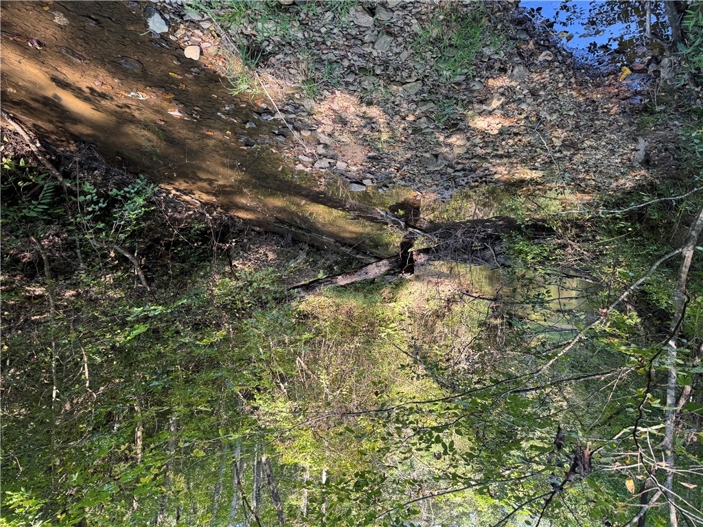 1282 Cobb Bridge Road