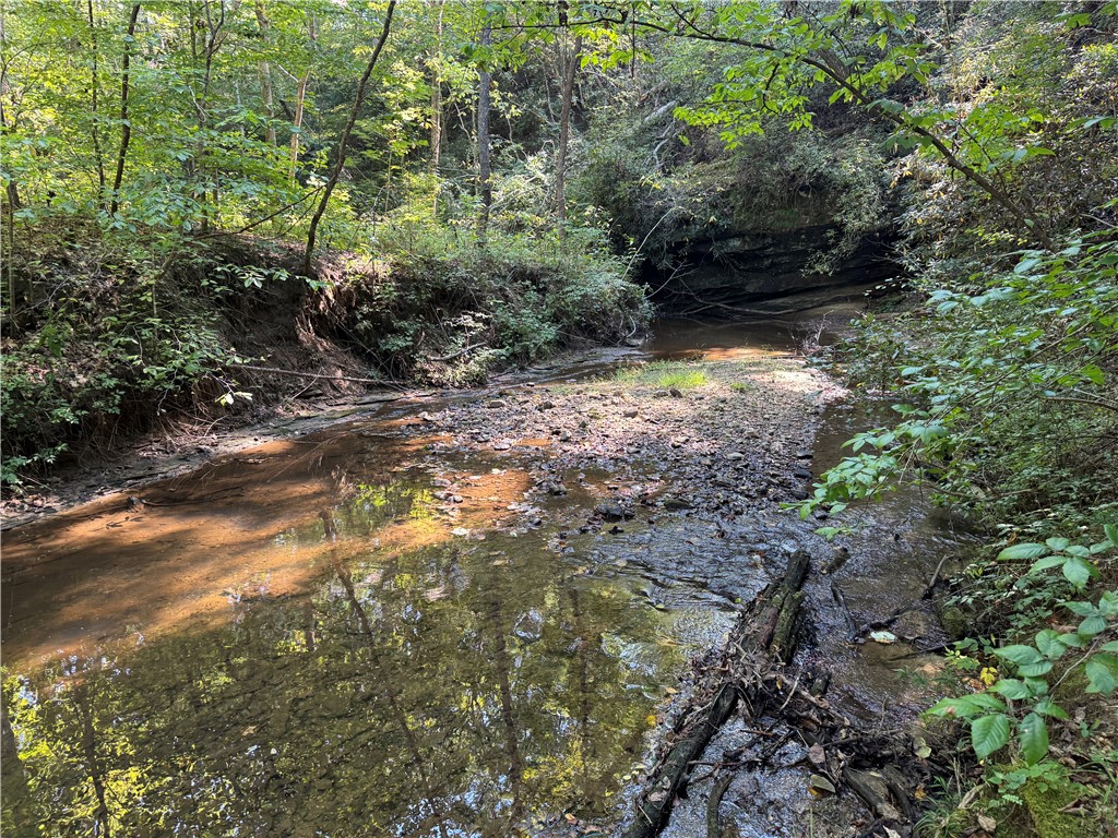 1282 Cobb Bridge Road