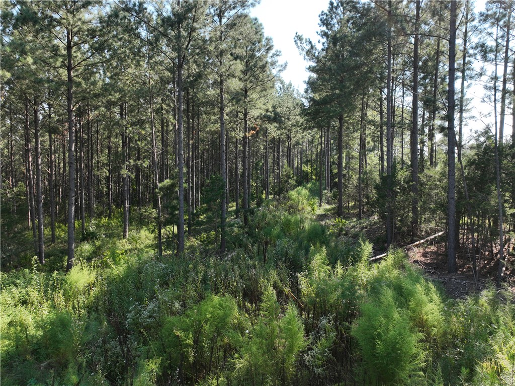 205 Sawney Creek Road