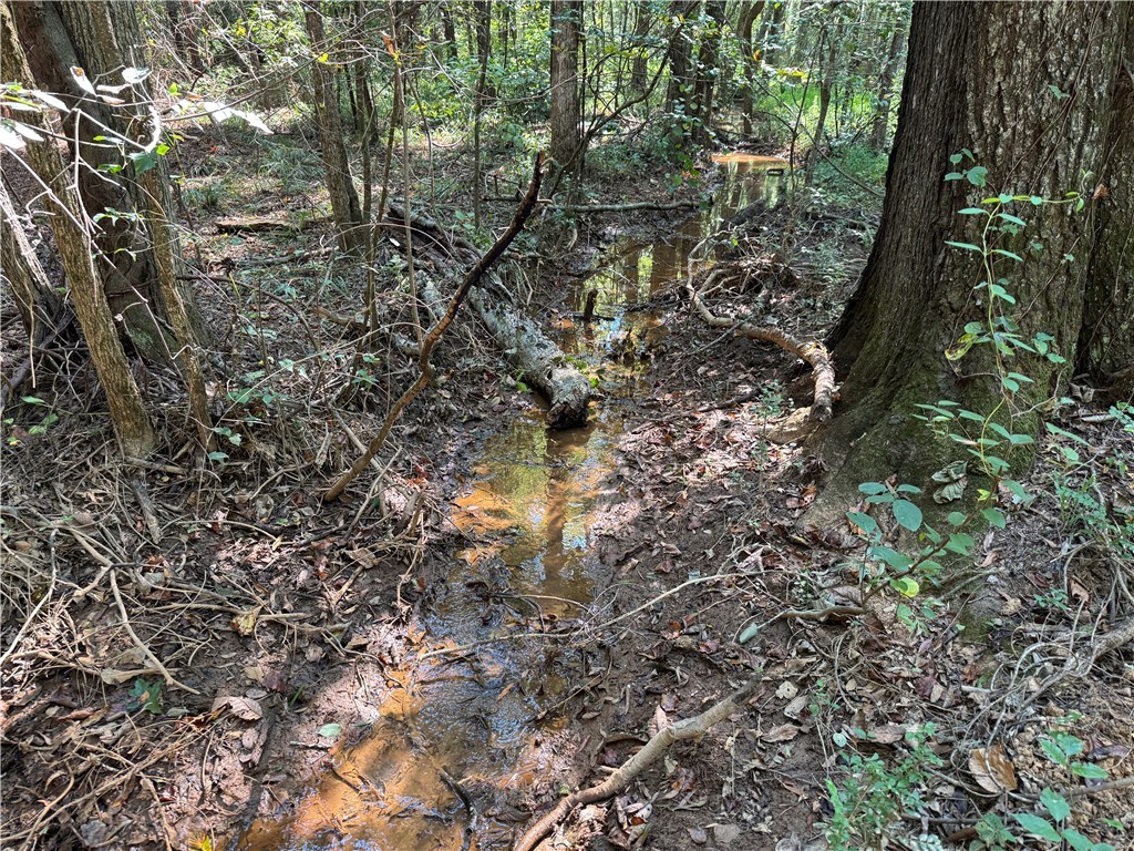 205 Sawney Creek Road