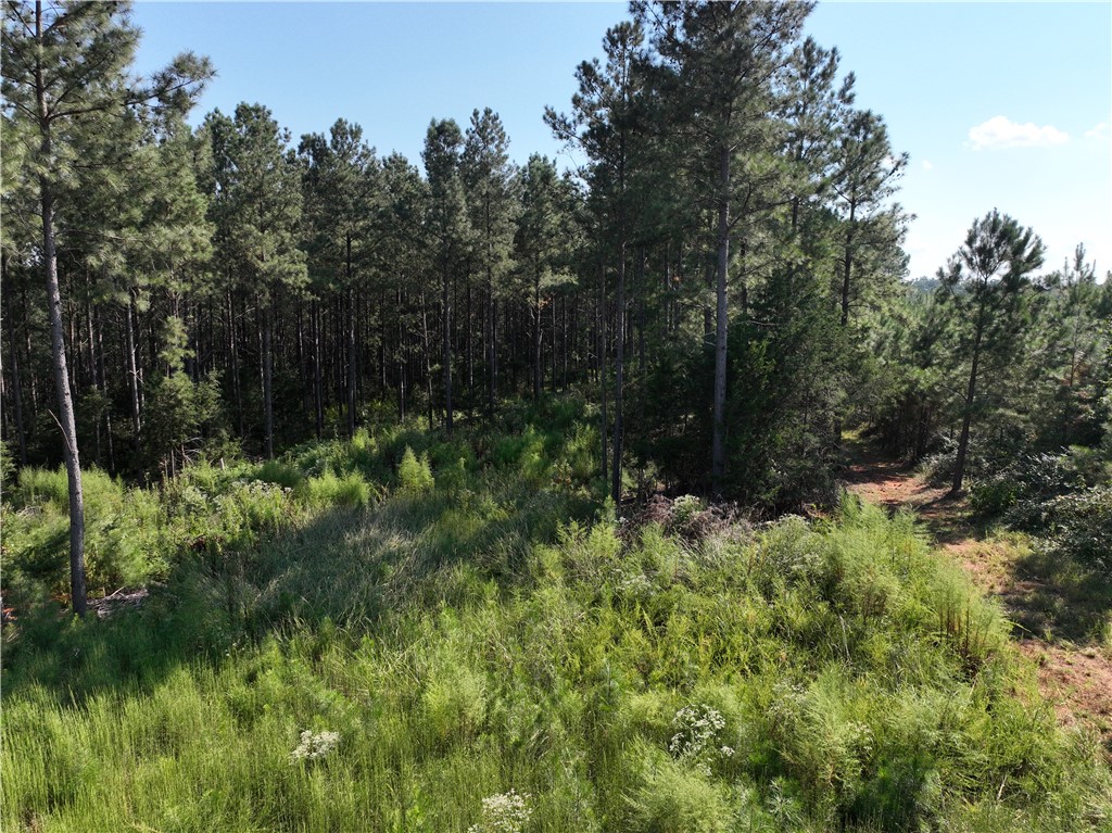 205 Sawney Creek Road