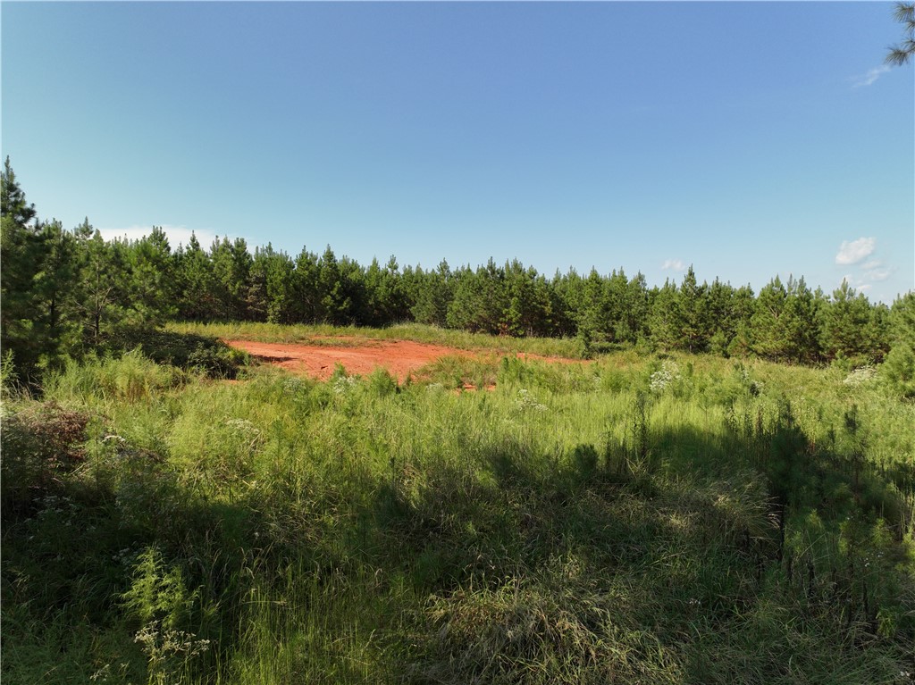 205 Sawney Creek Road