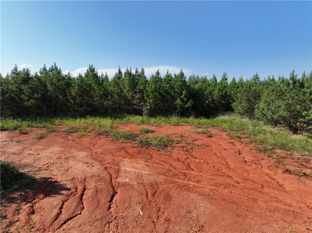 205 Sawney Creek Road