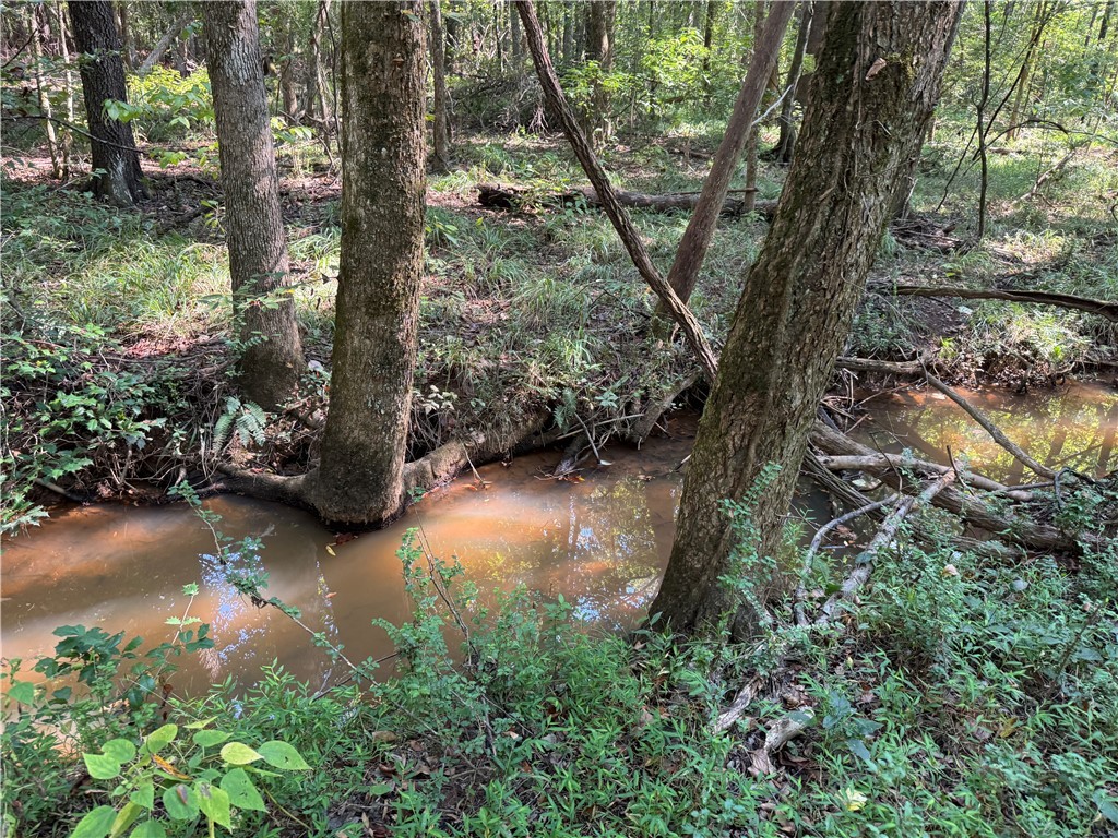 205 Sawney Creek Road