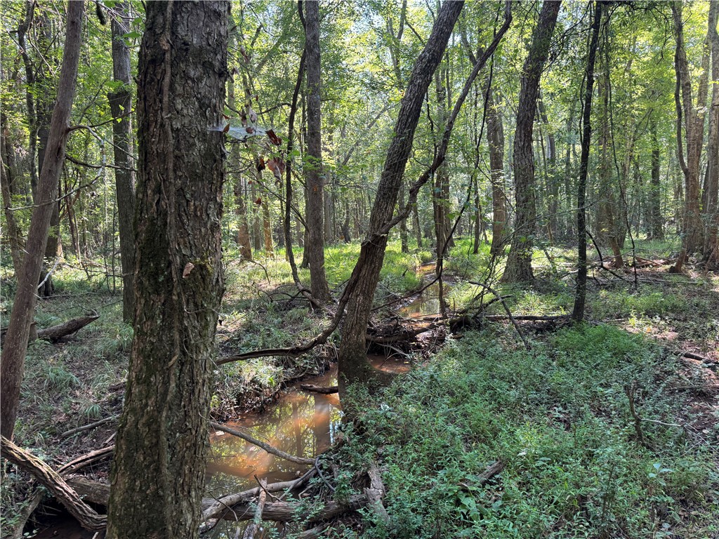 205 Sawney Creek Road