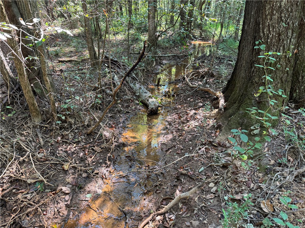 205 Sawney Creek Road