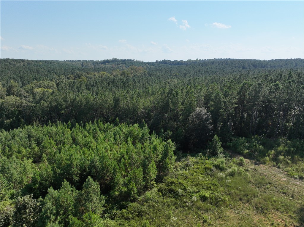 205 Sawney Creek Road