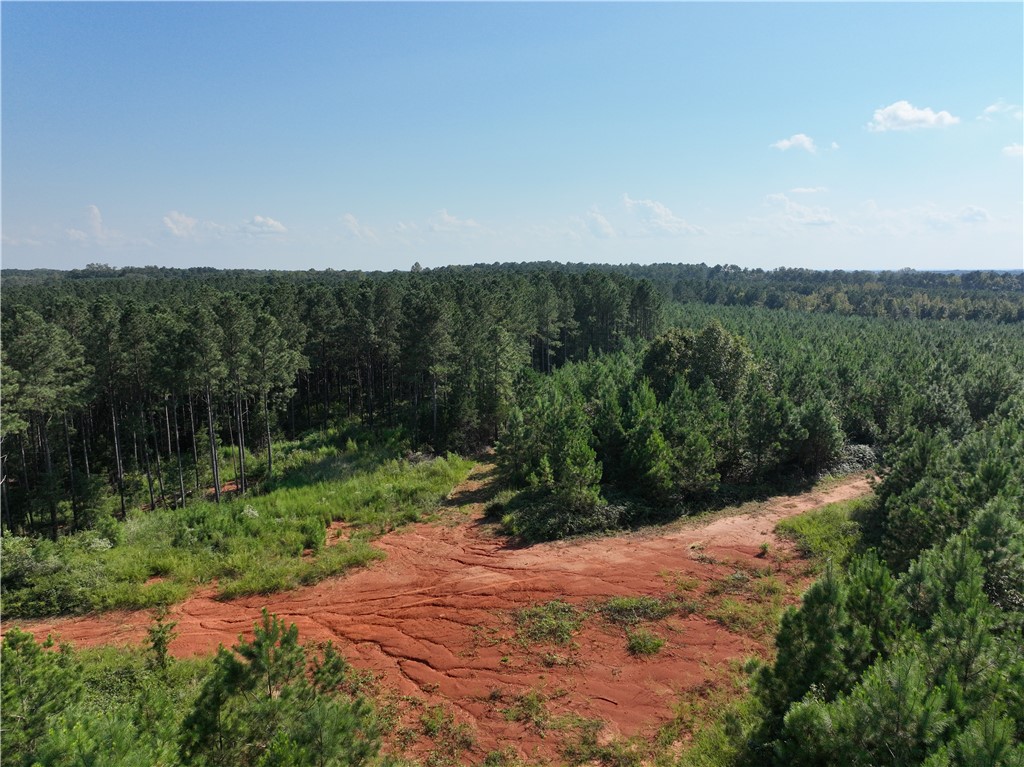 205 Sawney Creek Road