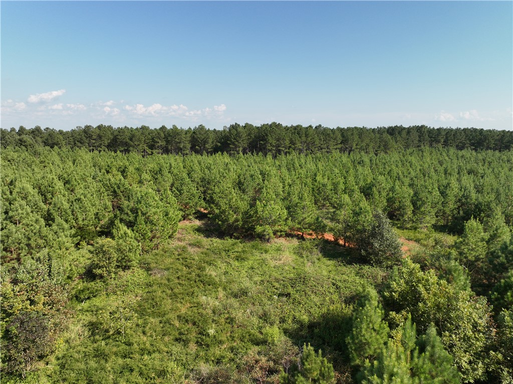 205 Sawney Creek Road