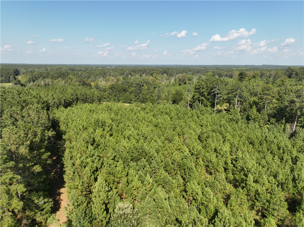 205 Sawney Creek Road