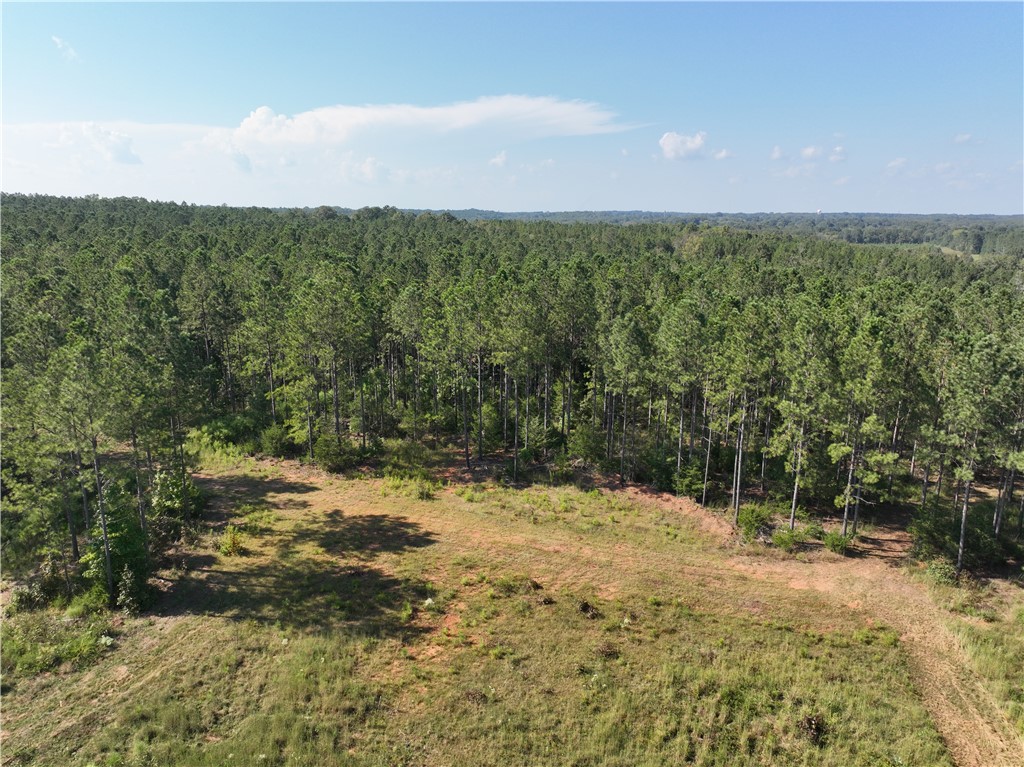 205 Sawney Creek Road