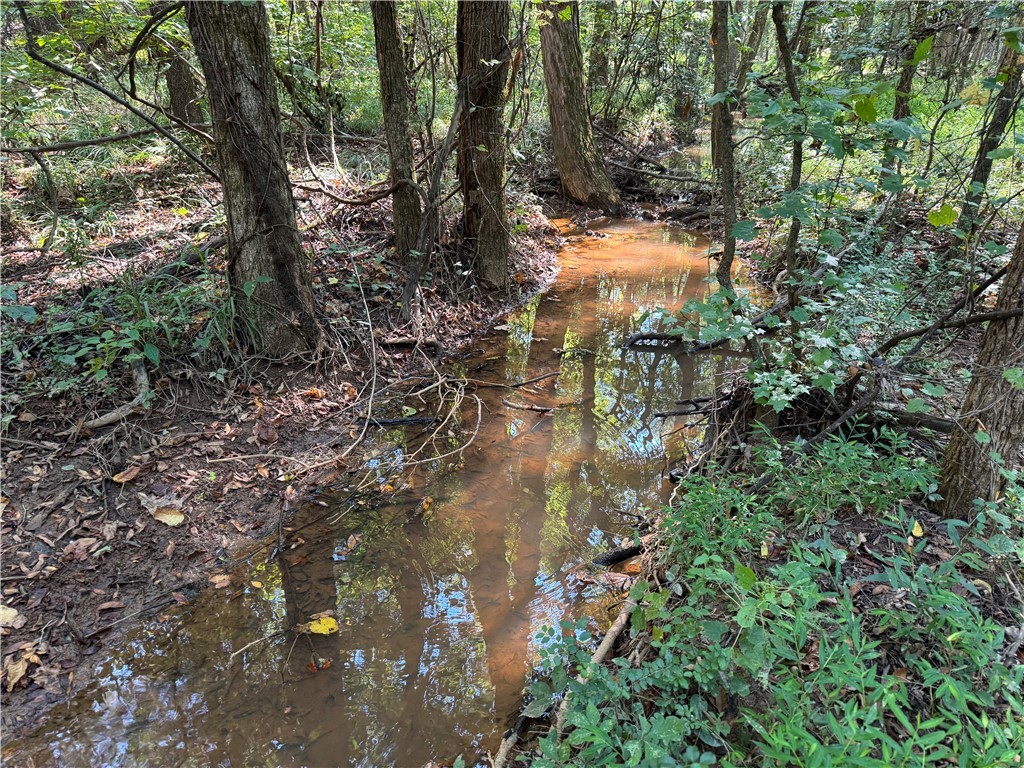 205 Sawney Creek Road