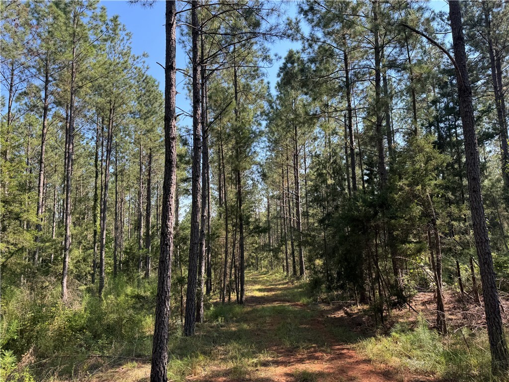 205 Sawney Creek Road