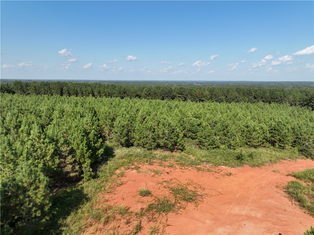 205 Sawney Creek Road