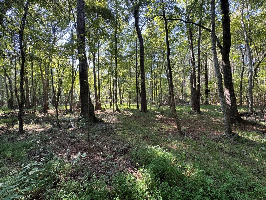 205 Sawney Creek Road