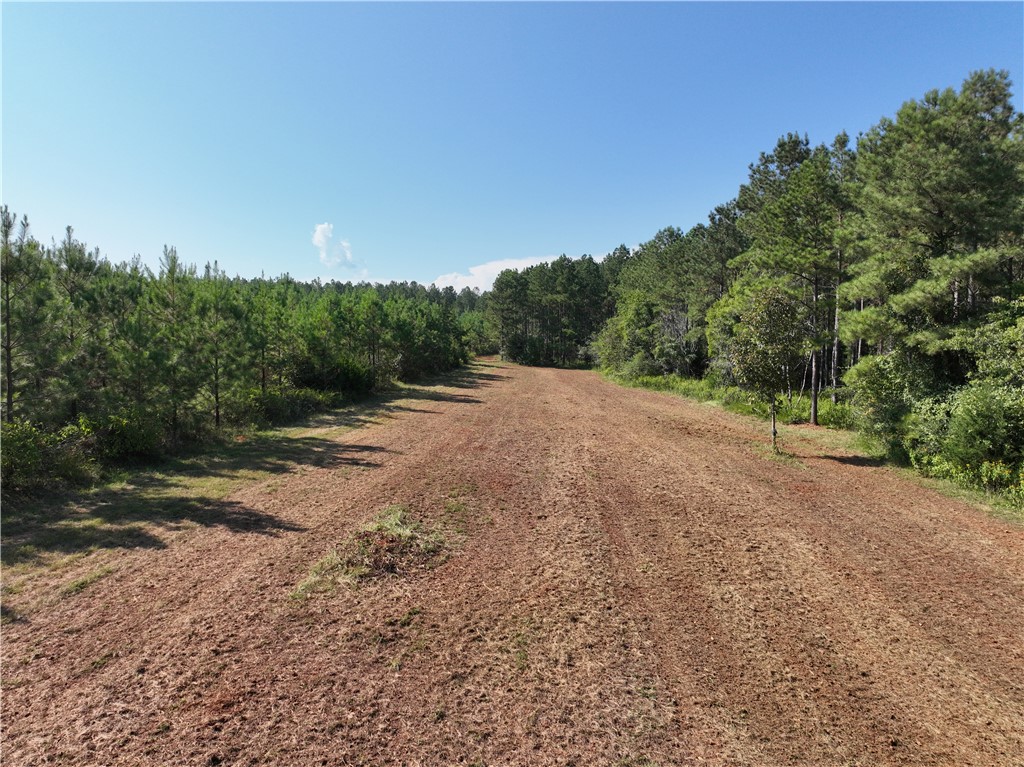 205 Sawney Creek Road