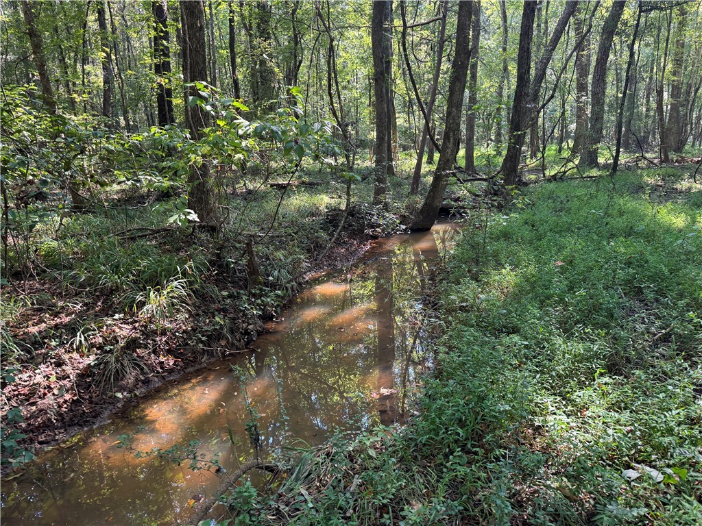 205 Sawney Creek Road