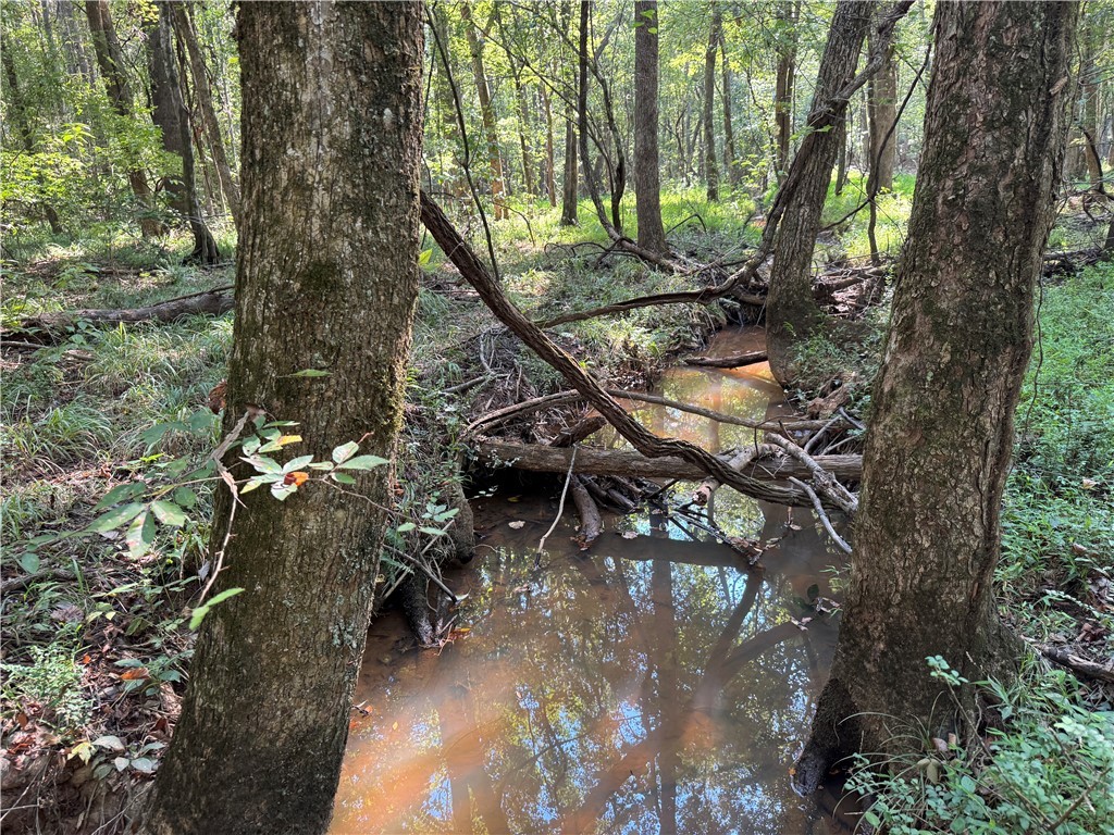 205 Sawney Creek Road