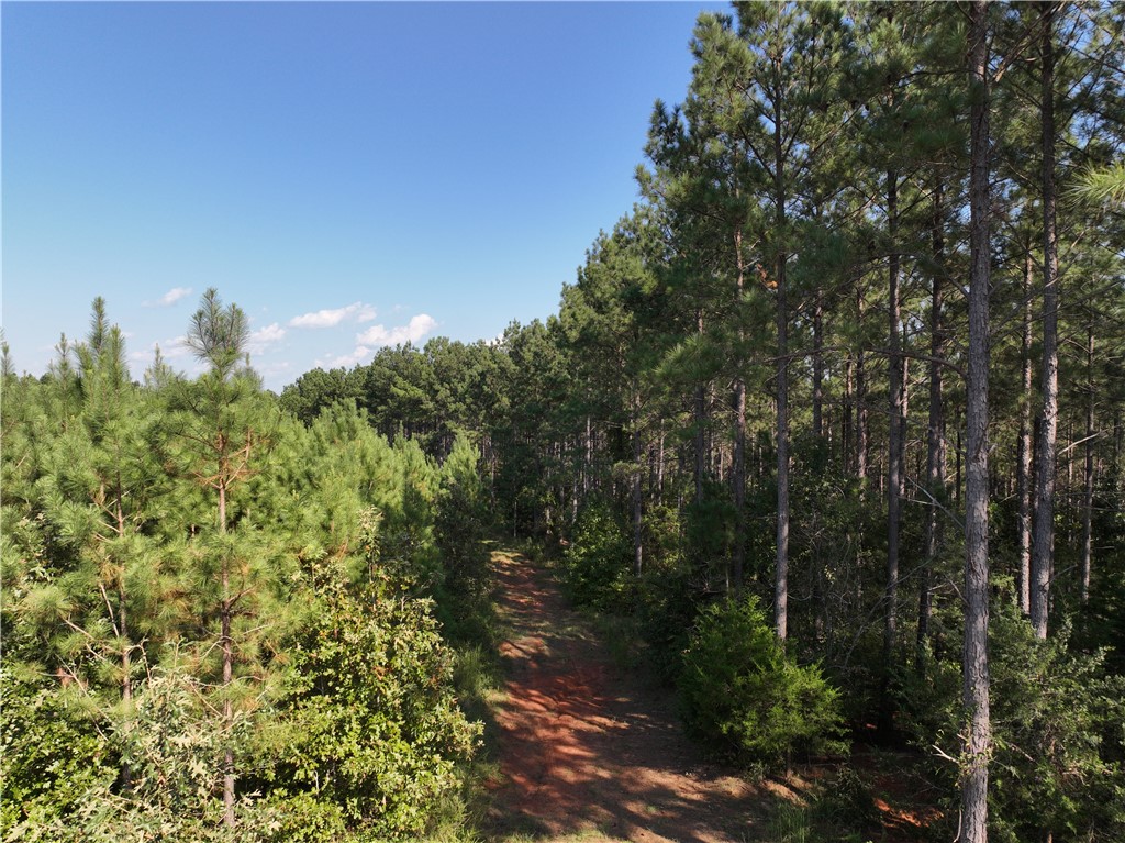 205 Sawney Creek Road