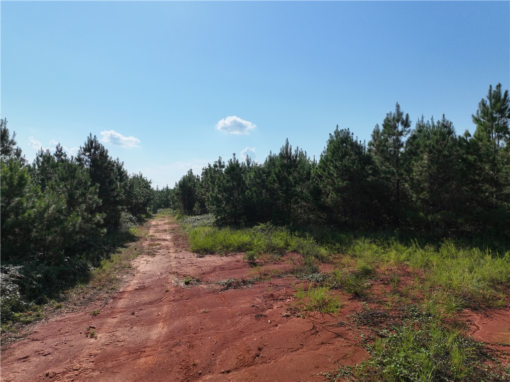 205 Sawney Creek Road