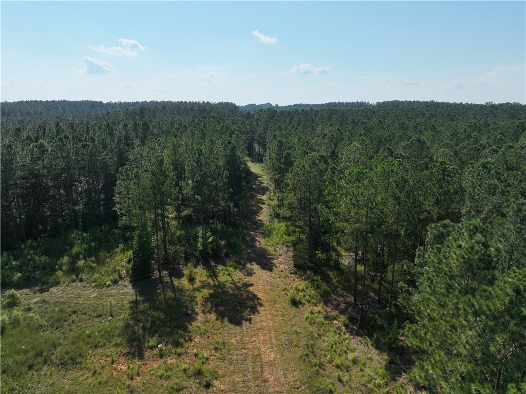 205 Sawney Creek Road