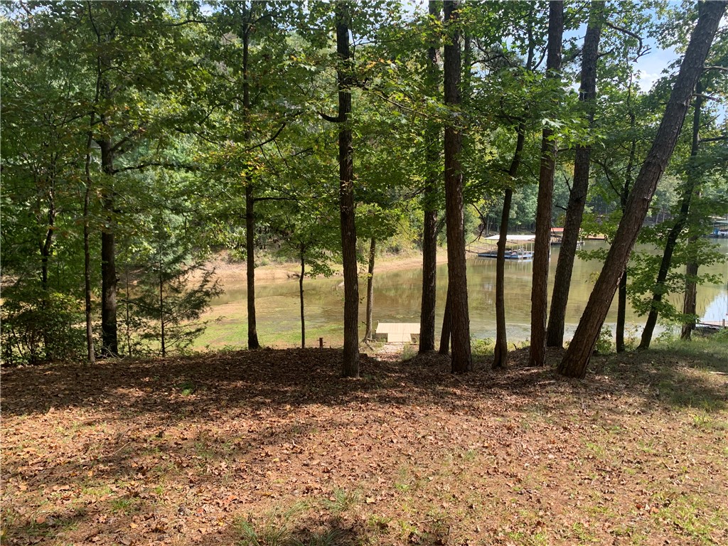 719 Shelor Ferry Road