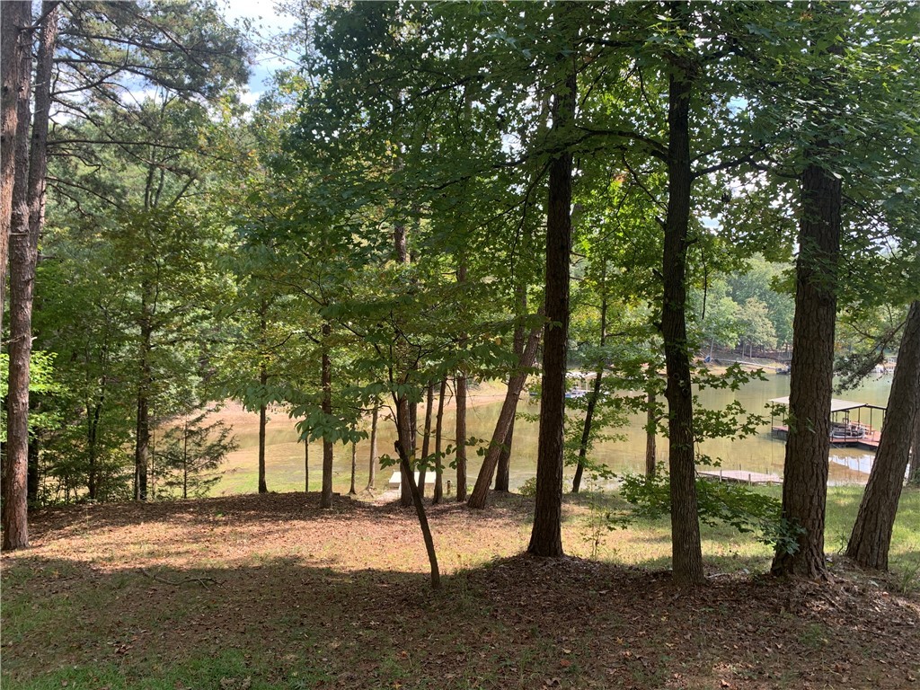 719 Shelor Ferry Road