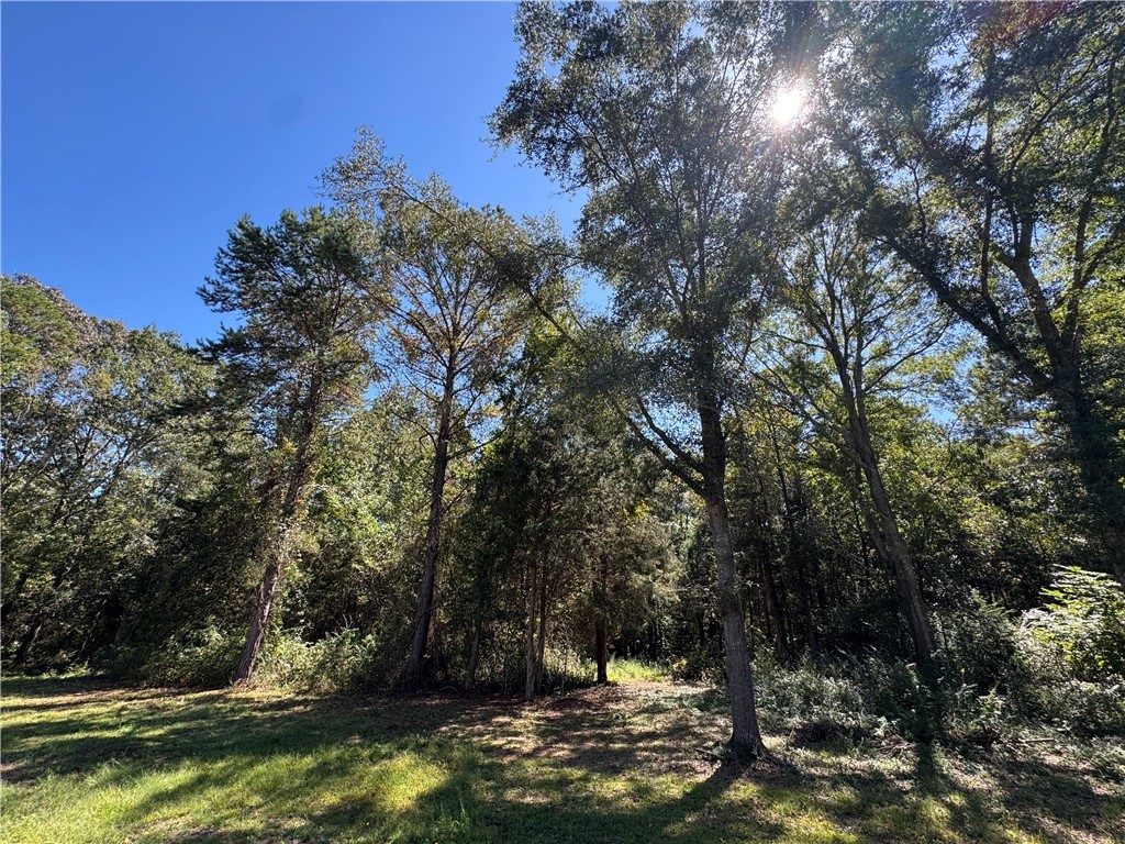 3567 Wright School Road