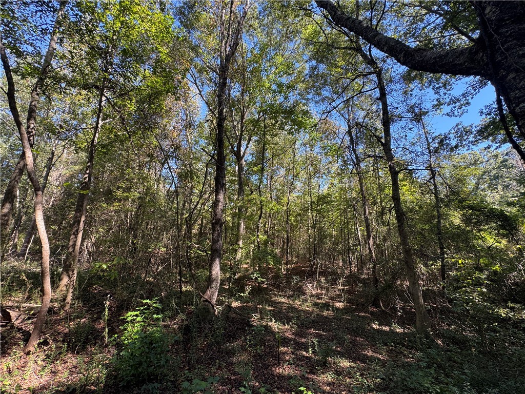 3567 Wright School Road