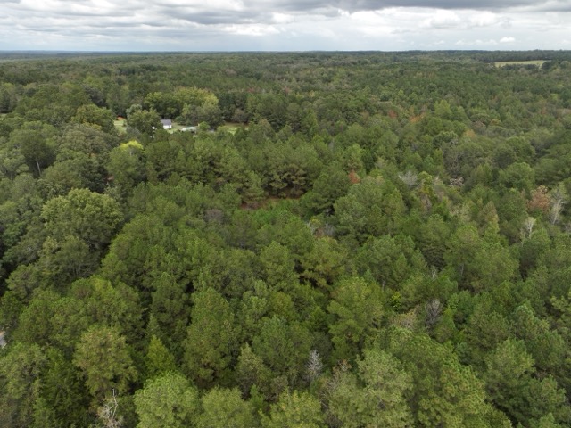 3567 Wright School Road