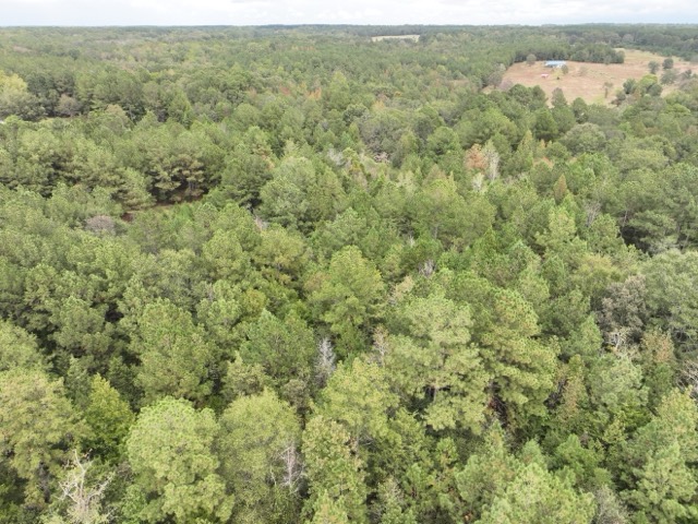 3567 Wright School Road