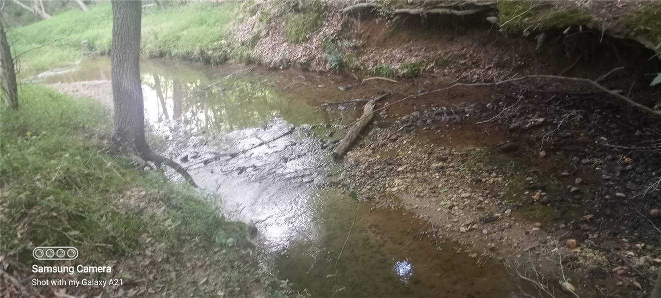 3567 Wright School Road