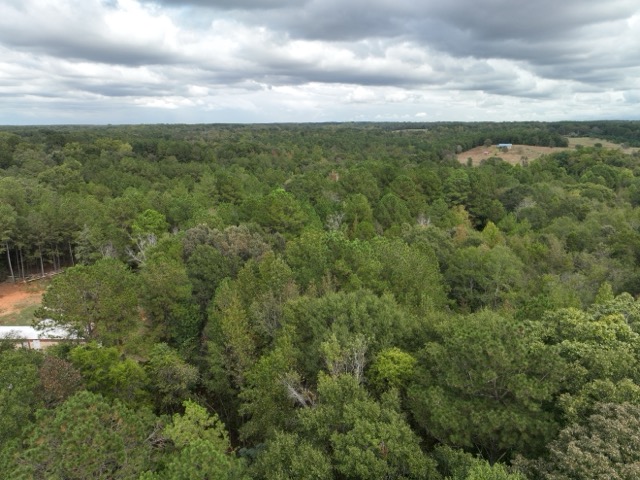 3567 Wright School Road