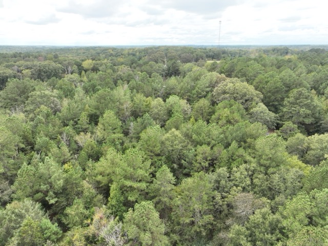 3567 Wright School Road