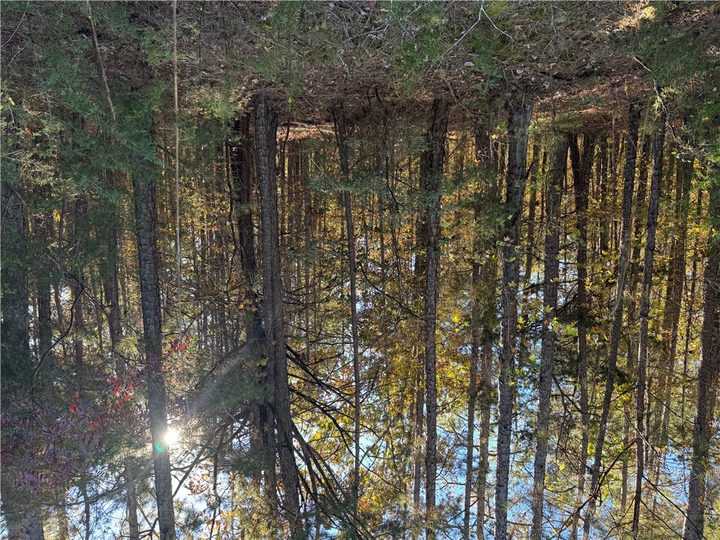 4 Horseshoe Point Drive