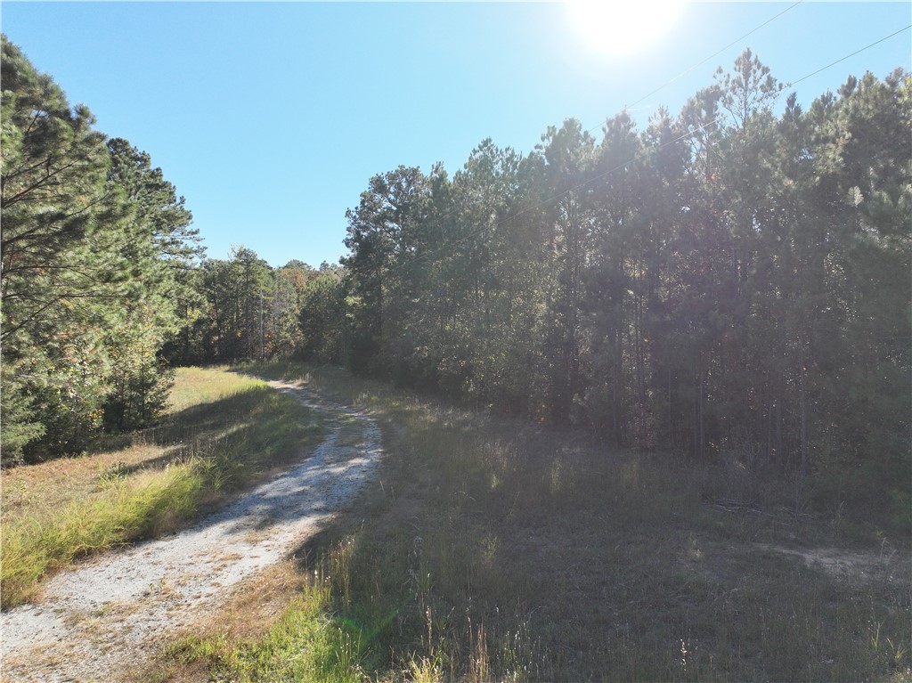 4 Horseshoe Point Drive