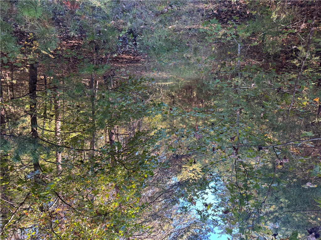 4 Horseshoe Point Drive