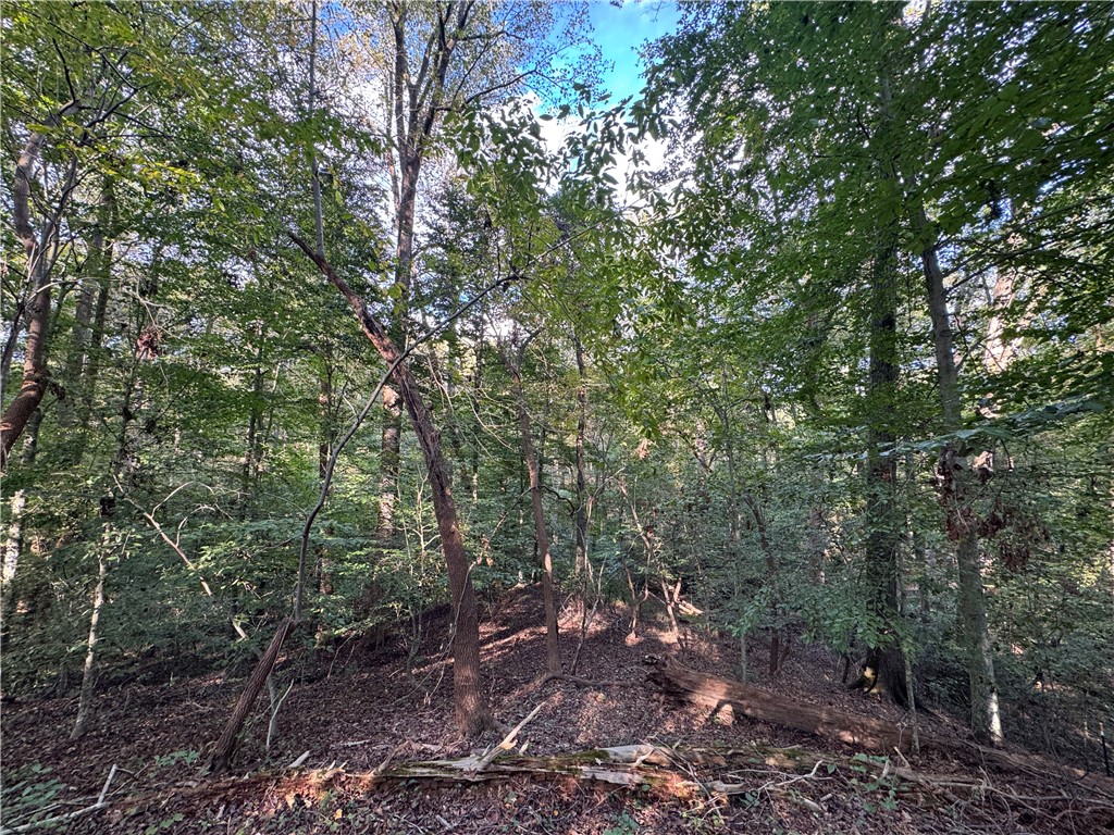 499 Acker Road